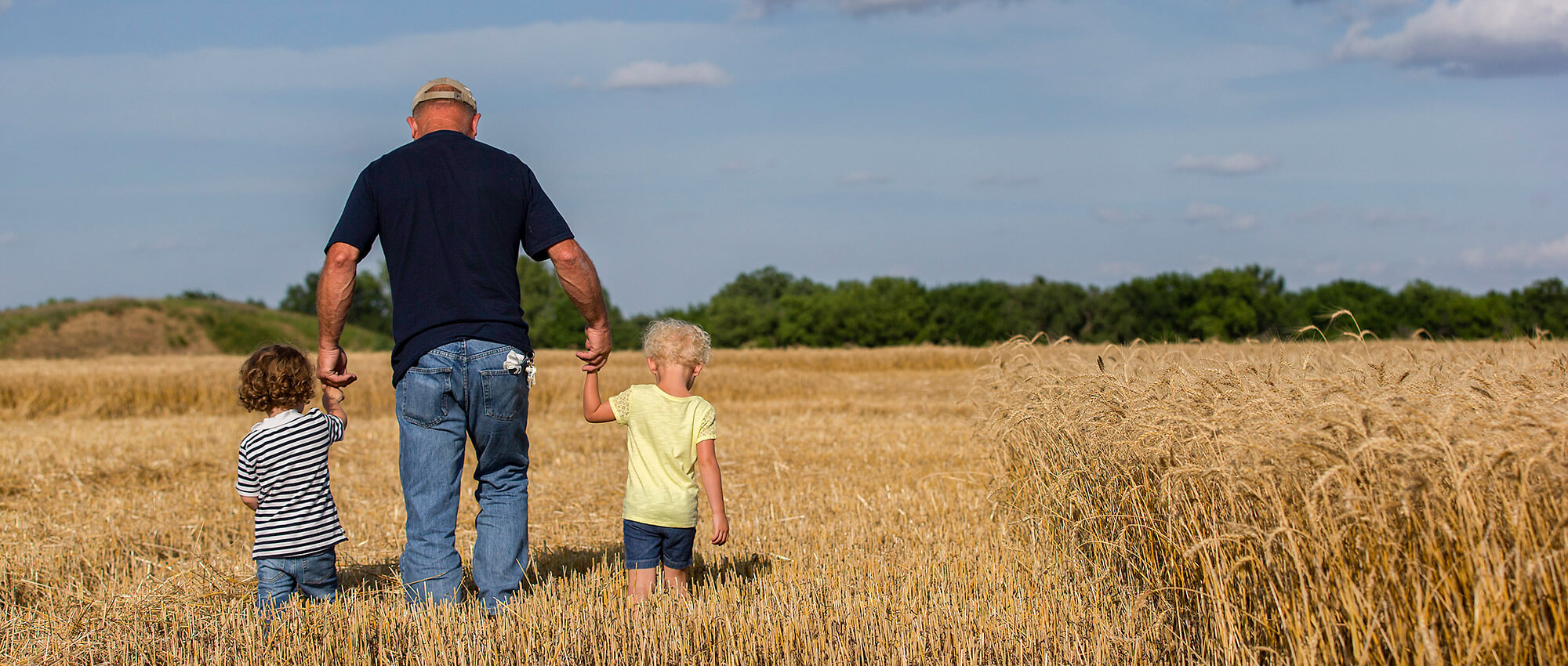View from behind. A farmer walks through a wheat field holding the hands of two toddlers on each side.