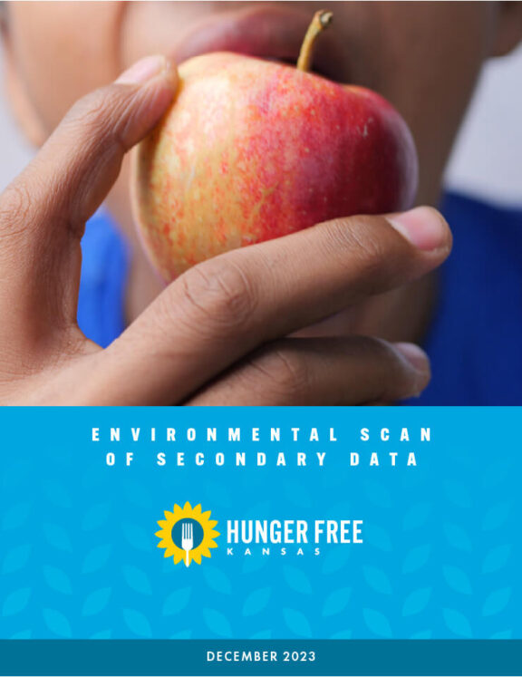 Cover of the 2023 Environmental Scan of Secondary Data report